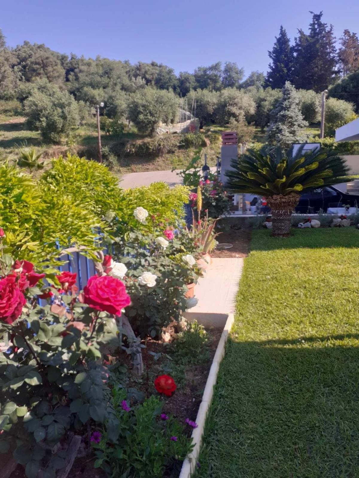 Simos' Sea View House Villa Nikopolis Exteriör bild